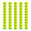 PREMIER 40 OUTDOOR PICKLEBALLS
